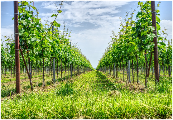 1536148273437515.png 3-3.png